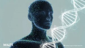 Поэтапное восстановление организма