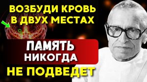 Я САМ ДЕЛАЛ и ВАМ СОВЕТУЮ. Кардиохирург Амосов 4 лучших совета для четкой памяти 🧠🔥