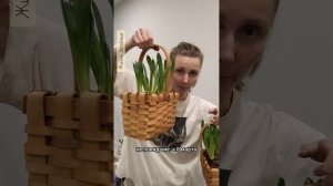 Композиции из первоцветов / Луковичные в подарок 🎁 😍