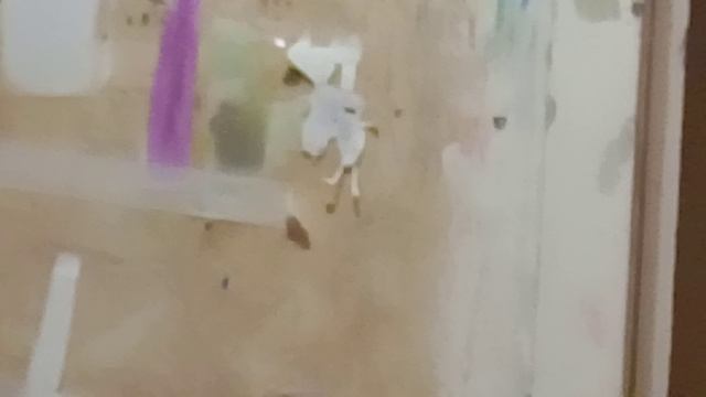 Докторская Помощь Последняя Серия Где Отдыхают И Сиамские Близнецы