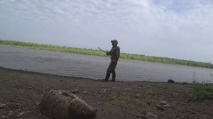 Рыбалка на резинку, ловля сазана с берега