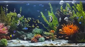 Тихая и спокойная музыка, рыбки в аквариуме . Ребенок уснет быстро.