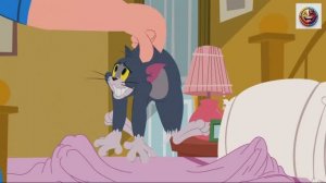 МУЛЬТИКИ ДЛЯ ДЕТЕЙ ДЕТСКИЙ РАЗВИВАЮЩИЙ МУЛЬТФИЛЬМ 👶🚜 | МАШИНКИ И ПЕСЕНКИ СИНИЙ ТРАКТОР #2