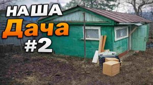 #2 Познакомили детей с дачей. Определили фронт работ.  Многодетная семья.