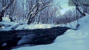 Звук реки в зимнем лесу — спокойное журчание воды, звуки природы для сна и релакса