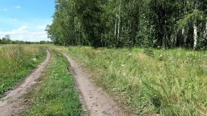 Прогулка по дороге возле леса
