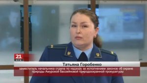 О природных пожарах и штрафах для виновных лиц