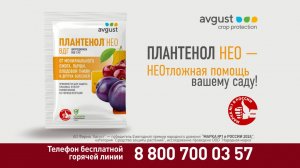 Плантенол Нео - cистемный препарат для обработки сада ранней весной