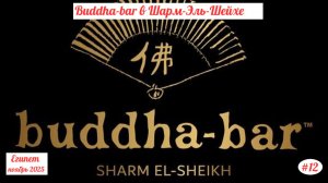 Отдых в Египте | Будда бар | Декабрь 2025 | Часть 12.