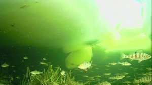 1000010980.mp4Волга гл.2м.03.03.2026г.