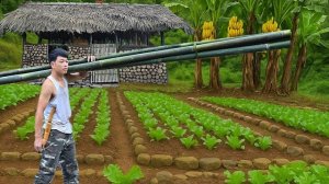 Учусь заниматься огородничеством. Выращиваю овощи и пропалываю грядки. Серия 9. Жизнь во Вьетнаме