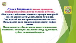 Почему с 07 по 09 Марта 2026 года - Это Время для Посадки Корне Плодных Овощей для Продажи?!