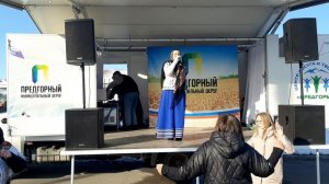 Ольга Высоцкая - Деревенька