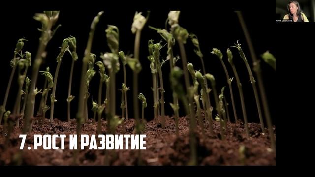 Задания 1. Признаки живого