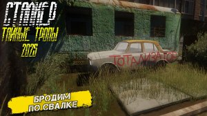 БРОДИМ ПО СВАЛКЕ ➤ Сталкер Тайные Тропы (2025) #15