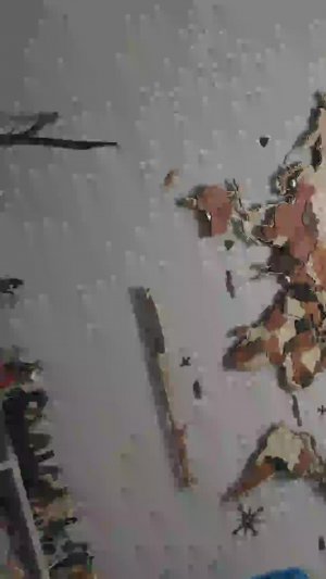 Соревнования на хобби хорсе = длинный влог