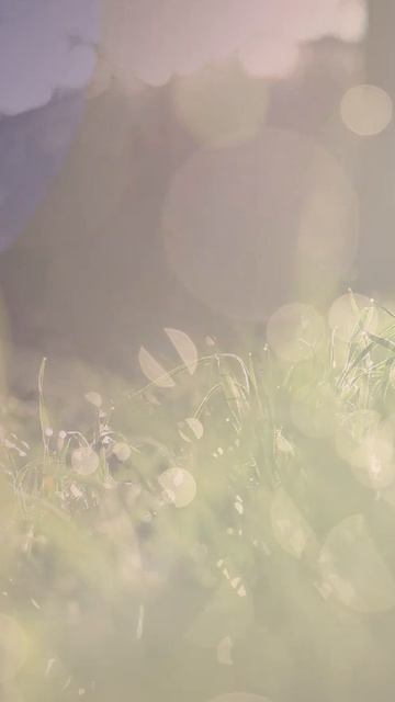 Инструментал Ehomusic #shorts #instrumental #инструментал #ehomusic #музыкальность