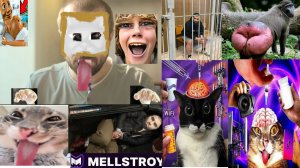 Фулл фрапс игры Амазинг РП ( игра оочень на низких настройках не судите строго )