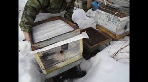 работа с пчелами в марте , когда лучше поменять дно у пчел после зимовки, ( видео из архива )