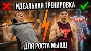 9 базовых упражнений для новичков в зале: техника + частые ошибки