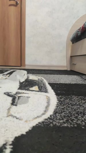 Что я покупал в магазинах 3 часа? (ПК не хочу показывать 🫣)