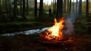Настоящий вечерний костер 🔥 Аутентичные звуки природы, чтобы успокоить ваш разум.