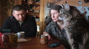 Запись стрима 3 марта. Птиченьки в кафе, прогулка с Псом Кубиком, обение на кухне