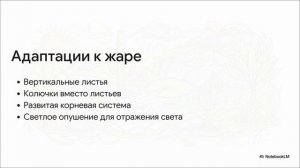Биология 7 класс параграф 16 СРЕДА ОБИТАНИЯ РАСТЕНИЙ. ЭКОЛОГИЧЕСКИЕ ФАКТОРЫ краткий пересказ