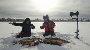 РЫБАЛКА НА ЛЕСНОМ ОЗЕРЕ. КРОМЕ НАС НА ОЗЕРЕ НИКТО НЕ РЫБАЧИЛ.МЕШКИ С РЫБОЙ