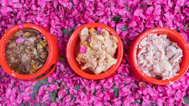 Как хранить корм для кошек