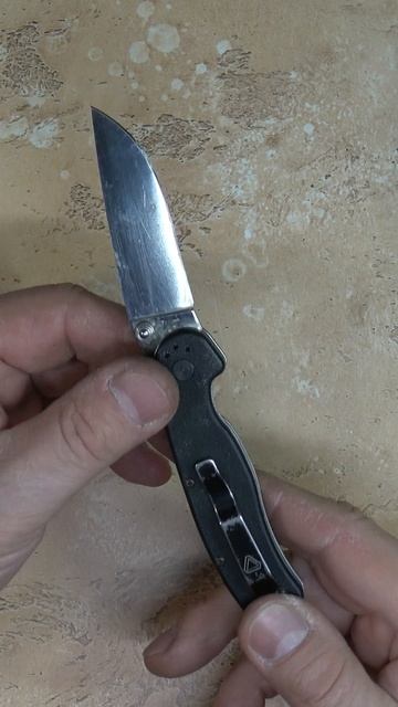 В гостях Мелкая крыса #shorts #ножевыебудни #ontariorat  #остраяжизнь #крыса