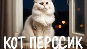 КОТ ПЕРСИК РАССКАЗЫВАЕТ О СЕБЕ ВСЁ! (ВИДЕО С КОТОМ ПЕРСИКОМ!)