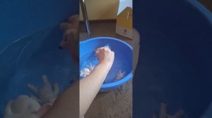 влог с др поли 2 часть