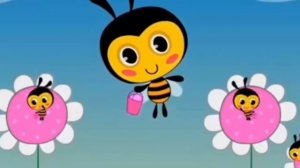 цвета пчёла 2 4