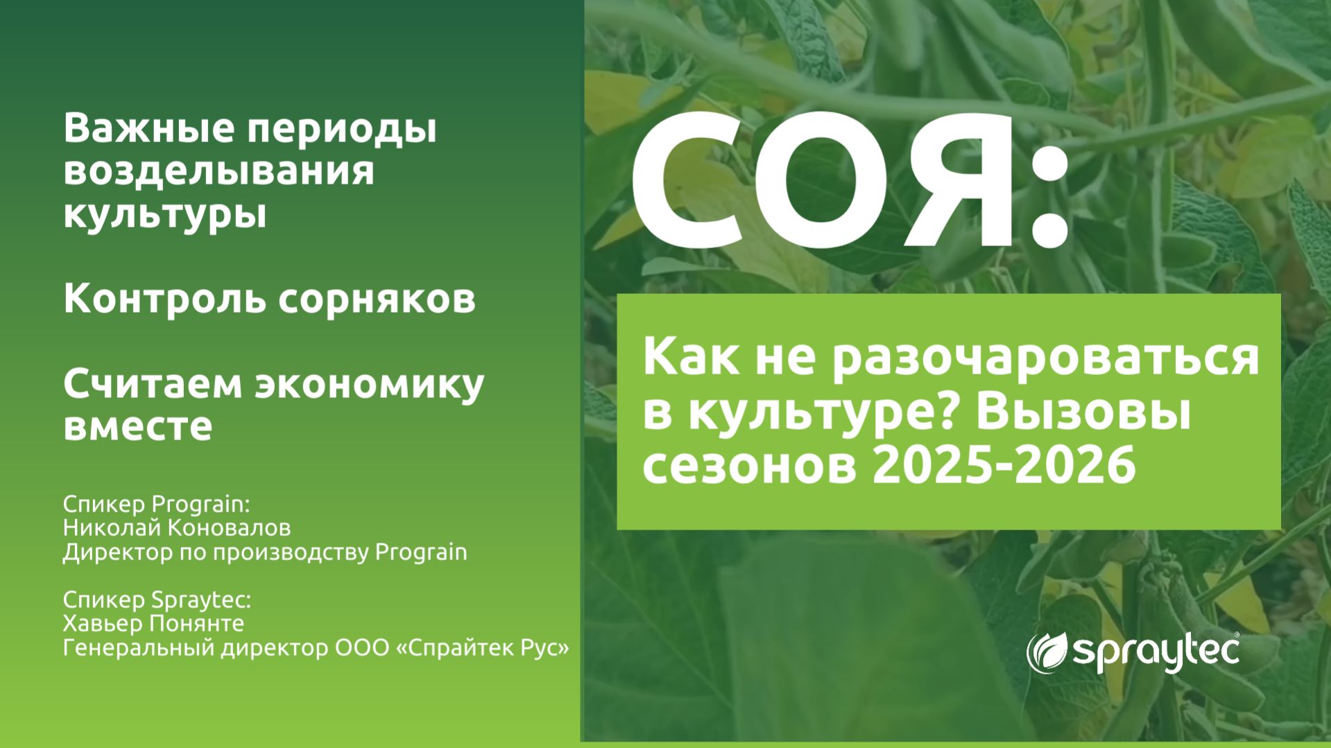 Как не разочароваться в возделывании сои в 2026 году?