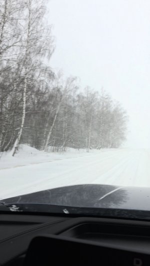 Эта зима была интересной