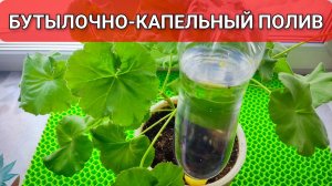 БУТЫЛОЧНО-КАПЕЛЬНАЯ ПОЛИВАЛКА ДЛЯ КОМНАТНЫХ РАСТЕНИЙ И РАССАДЫ НЕ ДАСТ ЗАСОХНУТЬ ЦВЕТАМ 🌱🌸