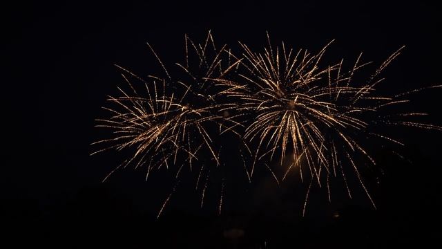 TK-KLS59-9F #9shorts Fan Shape Green To Time Rain Mine To Brocade Crown