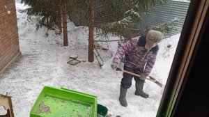 утренний весёлый зоопарк