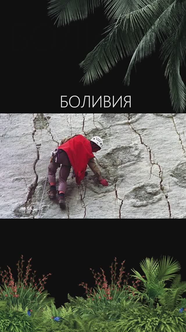 БОЛИВИЙСКИЕ ДИНОЗАВРЫ! 🗿