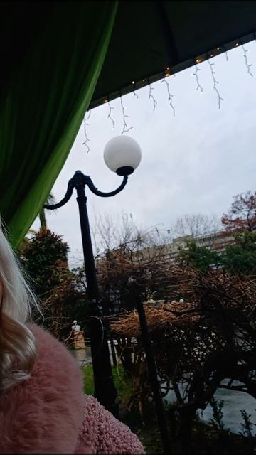 Сочи.Январь