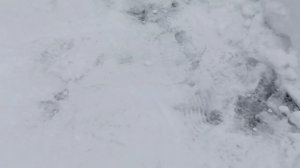 чистка снега шабашка