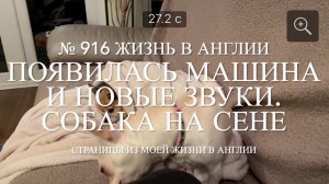 Появилась машина и новые звуки. Лилли - собака на сене. № 916 Жизнь в Англии