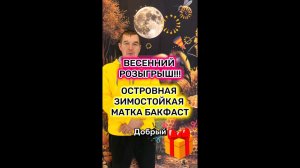 Розыгрыш островной зимостойкой матки Бакфаст