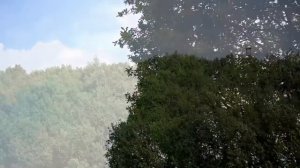 НЕЧТО I Страшные Истории На Ночь про ЛЕС