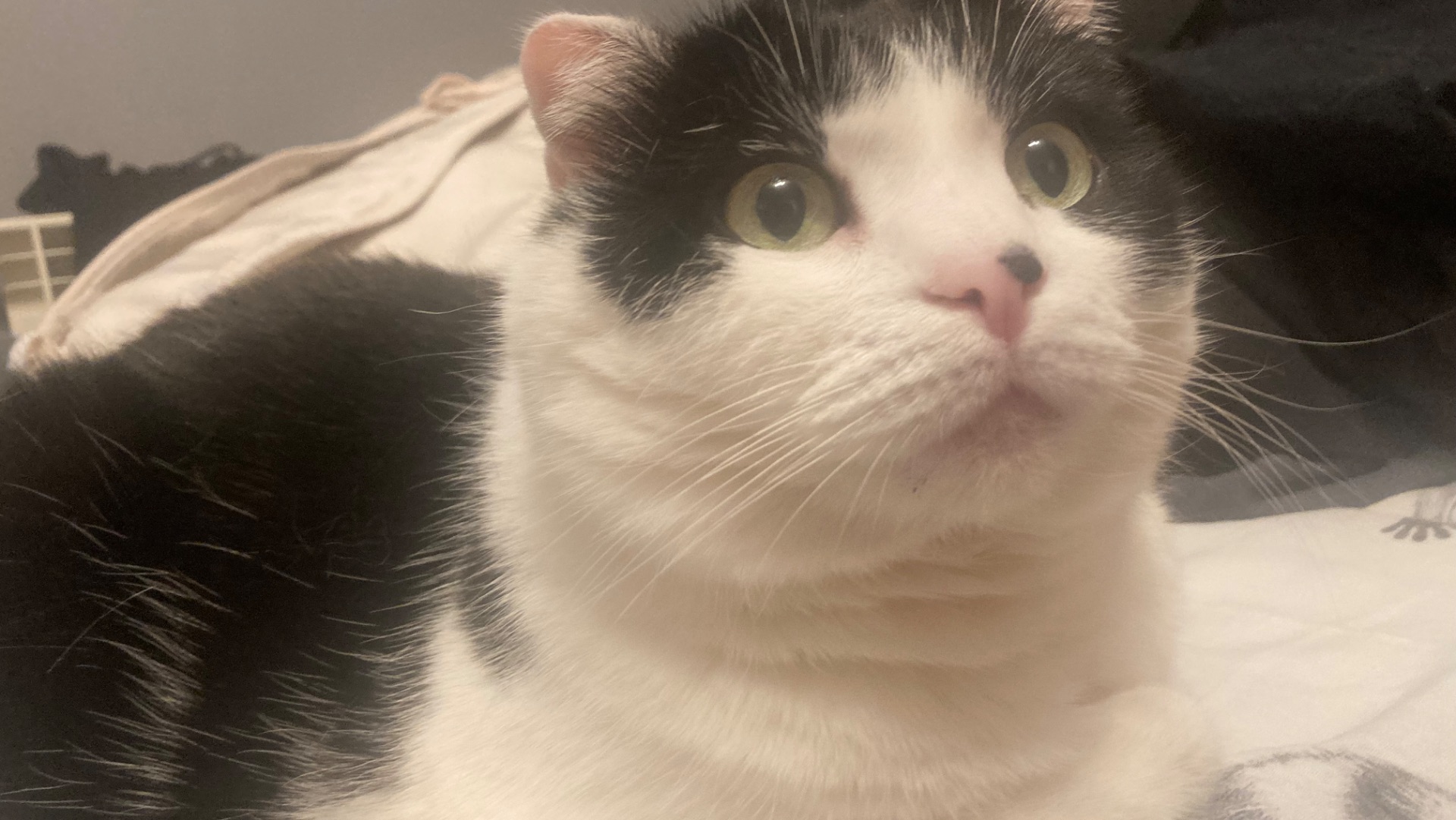 Я дᴏдᴇᴧᴀᴧᴀ ϶ᴛᴏ ᴄᴛᴀᴩᴏᴇ ʙидᴇᴏ..🥹❤️🔥 ——————★————— ——————