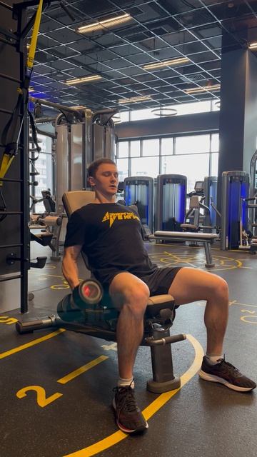 Сгибание предплечья с гантелями с супинацией сидя на скамье