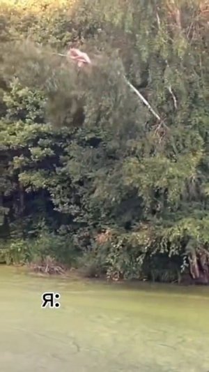 Клип @zatropheem