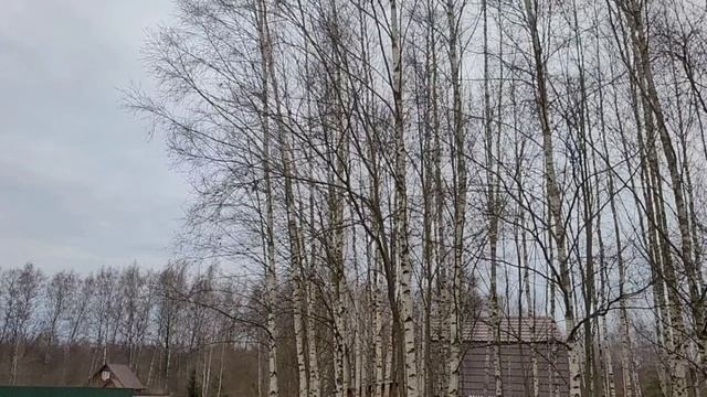 Сердце бьётся сильней