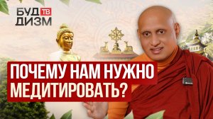 Выпуск № 81 — «Почему нам нужно медитировать?»